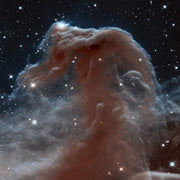 Hubble Sees a Horsehead of a Different Color by NASA, ESA, STScl