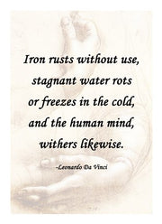 Iron Rusts Without Use -Da Vinci Quote by Quote Master