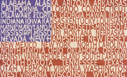 US Flag by Veruca Salt