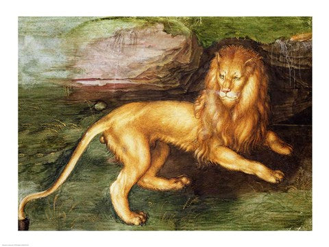 Lion by Albrecht Durer