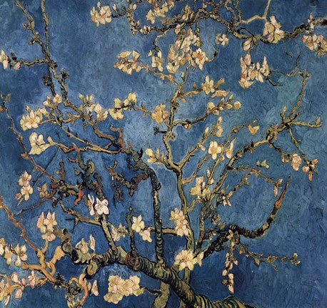 Blossoming Almond Tree, Saint-Remy, c.1890 Detail by Vincent Van Gogh