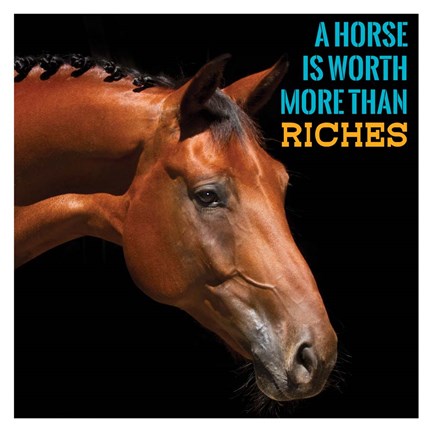 Horse Quote 6 by Sports Mania