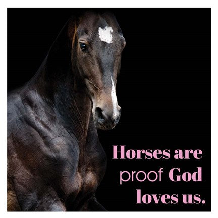 Horse Quote 8 by Sports Mania