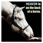 Horse Quote 9 by Sports Mania