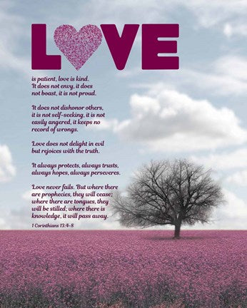 Corinthians 13:4-8 Love is Patient - Pink Field by Inspire Me