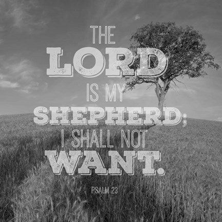 Psalm 23 The Lord is My Shepherd - Field by Inspire Me