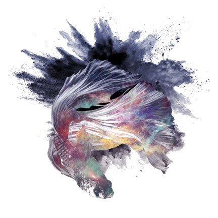 Cosmic Betta by Color Me Happy