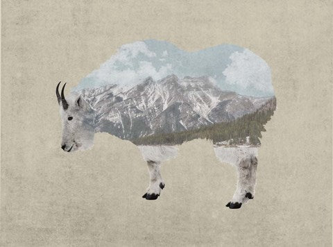 Rocky Mountain Goat by Color Me Happy