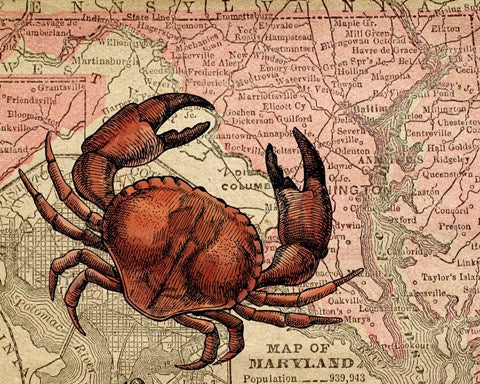 Maryland's Jumbo Crabs by Color Me Happy