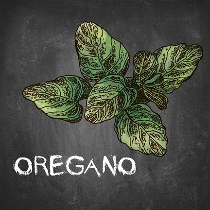 Oregano on Chalkboard by Color Me Happy