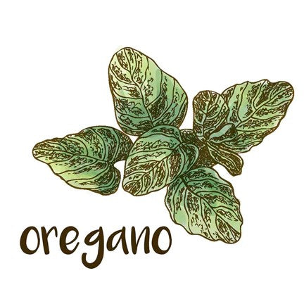 Oregano by Color Me Happy