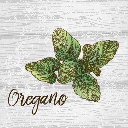 Oregano on Wood by Color Me Happy