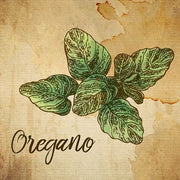 Oregano on Burlap by Color Me Happy