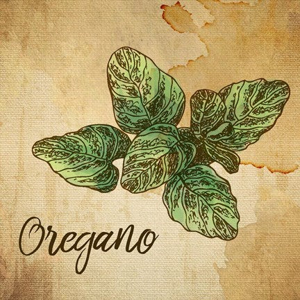 Oregano on Burlap by Color Me Happy