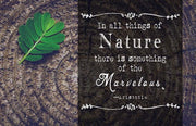 In all things of Nature by Quote Master