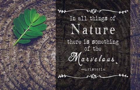 In all things of Nature by Quote Master