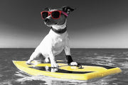 Pop of Color Surf's Up Dog by Color Me Happy