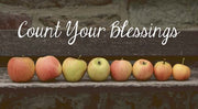 Count Your Blessings Apples by Color Me Happy