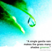 A Single Gentle Rain - Henry Thoreau Quote (Droplet) by Quote Master