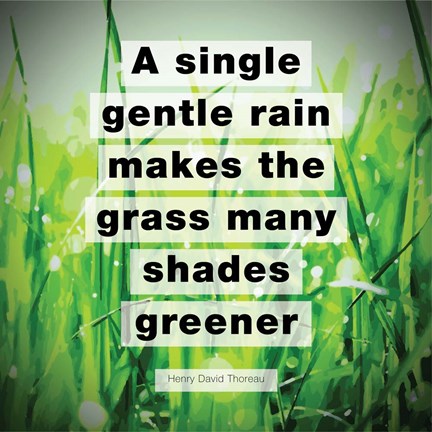 A Single Gentle Rain - Henry Thoreau Quote (Vibrant) by Quote Master