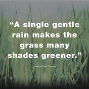 A Single Gentle Rain - Henry Thoreau Quote (Dark) by Quote Master