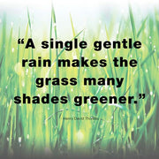 A Single Gentle Rain - Henry Thoreau Quote (Light) by Quote Master