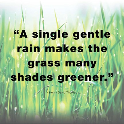 A Single Gentle Rain - Henry Thoreau Quote (Light) by Quote Master
