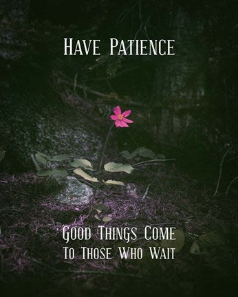 Good Things Come To Those Who Wait Pink Flower by Color Me Happy