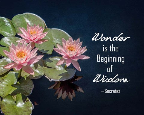 Wonder is the Beginning of Wisdom Water Lily Color by Quote Master