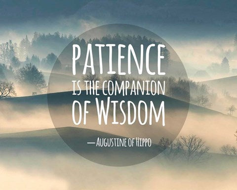 Patience Is The Companion Of Wisdom - Foggy Hills by Quote Master