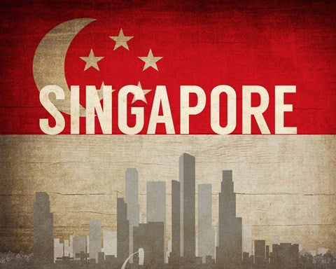 Singapore - Flags and Skyline by Take Me Away