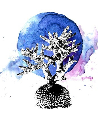 Coral with Blue Splash by Color Me Happy