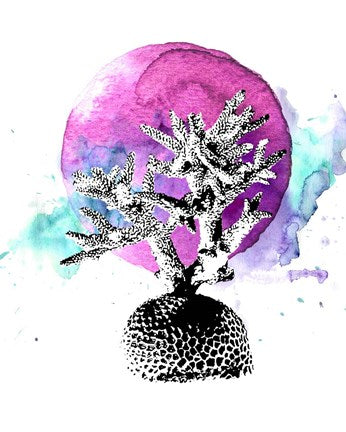 Coral with Pink Splash by Color Me Happy