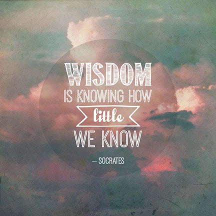 Wisdom is Knowing How Little We Know - Pink Clouds by Quote Master