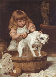 Order of the Bath by Charles Burton Barber