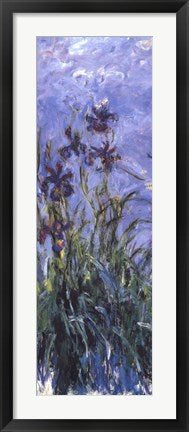Irises by Claude Monet