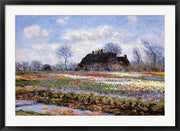 Tulip Fields at Sassenheim by Claude Monet