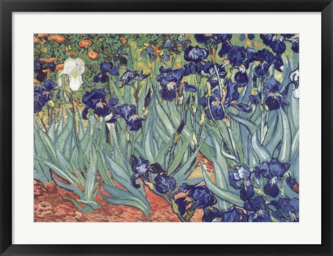Irises, Saint-Remy, c.1889 by Vincent Van Gogh