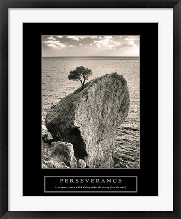 Perseverance - Lone Pinyon Tree