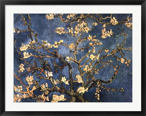 Blossoming Almond Tree, Saint-Remy, c.1890 by Vincent Van Gogh