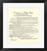 Bill of Rights (Document)