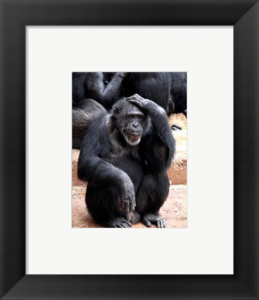 Chimp - Let me think it over