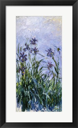Purple Irises, 1914-17 by Claude Monet
