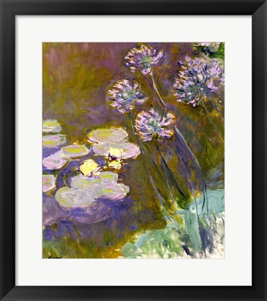 Waterlilies and Agapanthus, 1914-17 by Claude Monet