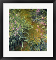 Iris (green) by Claude Monet
