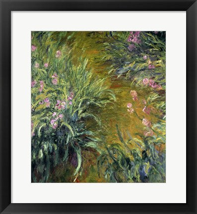 Iris (green) by Claude Monet