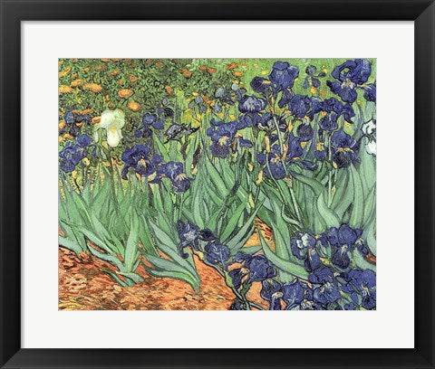 Irises, 1889 by Vincent Van Gogh