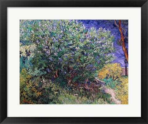 Lilac Bush, 1889 by Vincent Van Gogh