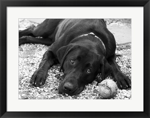 Playful by Rob Sturcke