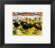 Great Birds of the World, Poster 1898